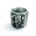 Aluminum Die Casting Electric Motors